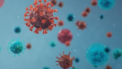 Covid-19 em Goiânia