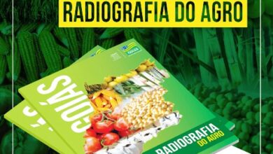Radiografia do Agro