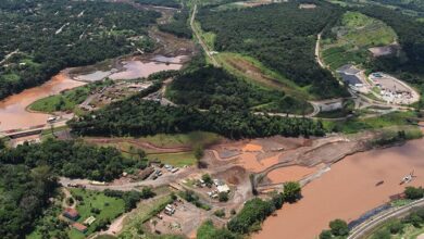 Foto: Cecília Perdezolli