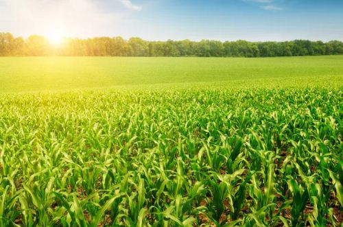 zoneamento climático