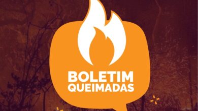 Boletim