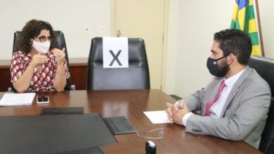 Vice Governador e Secretária da SEMAD