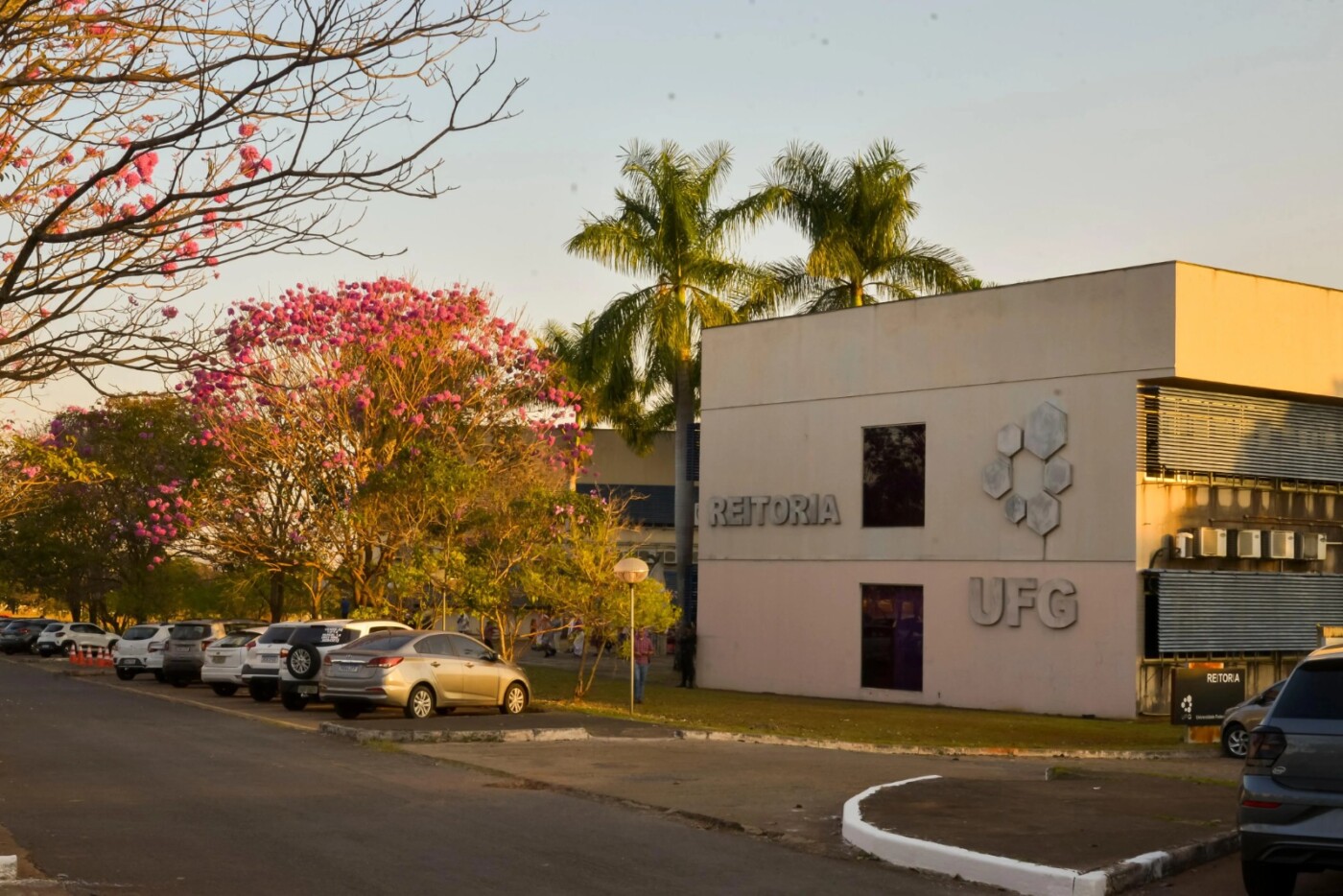 Campos UFG